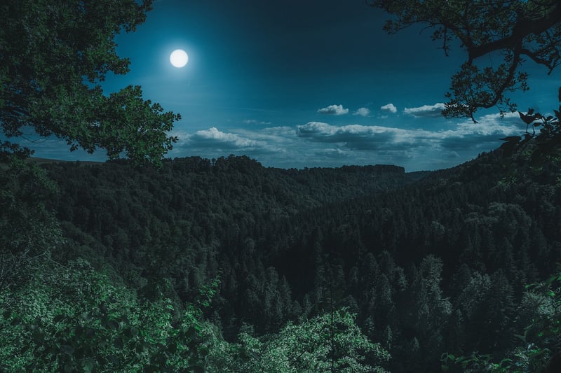 Moon Surface